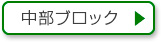 中部ブロック