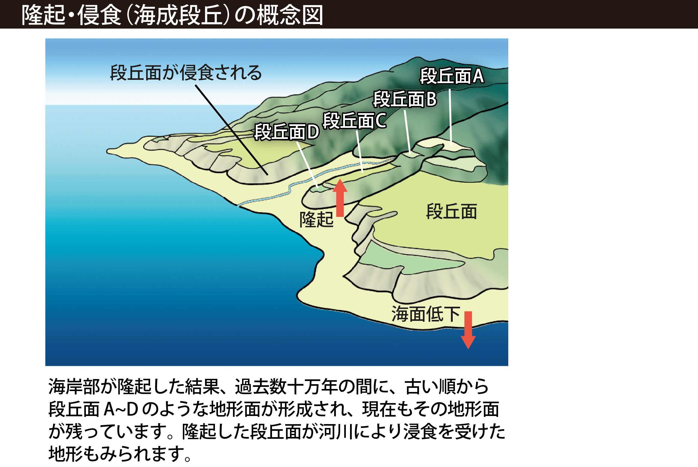 隆起・侵食（海成段丘）の概念図