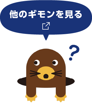 他のギモンを見る