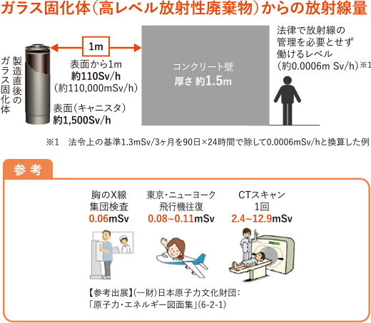 ガラス固化体（高レベル放射性廃棄物）からの放射線量