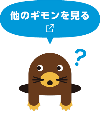 他のギモンを見る