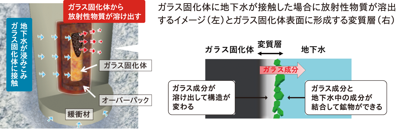 ガラス固化体に地下水が接触した場合に方差性物質が溶出するイメージ（左）とガラス固化体表面に形成する変質層（右）