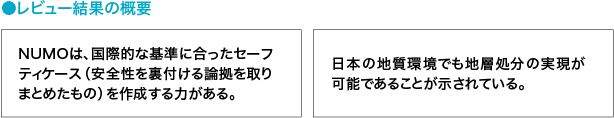 リビュー結果の概要