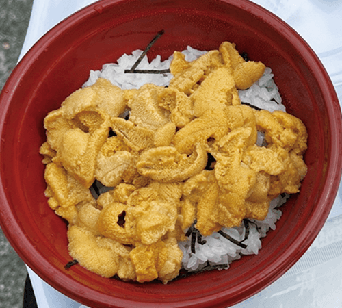 早朝から大行列のウニ丼