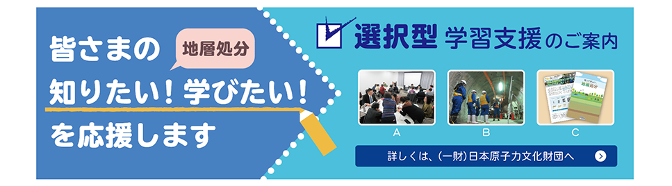 選択型学習支援事業