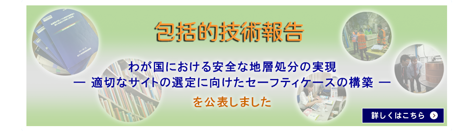 包括的技術報告